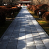 蓼科山聖光寺参道