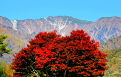 初冠雪の空木岳と紅葉