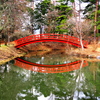 春を待つ馬見塚公園（まみづかこうえん）