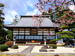 松源寺の春