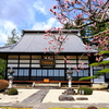 松源寺の春