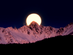 新年初満月③