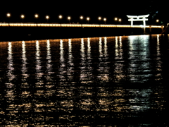 竹島橋ライトアップ１
