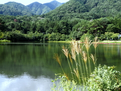 湖畔はもう秋の装い