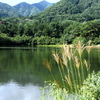 湖畔はもう秋の装い