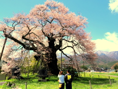 2人だけのお花見