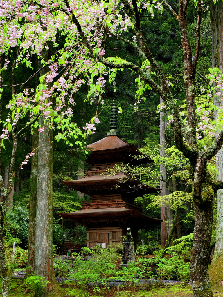 光前寺三重塔