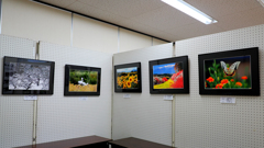 今年も出展しました。