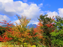 紅葉始まる