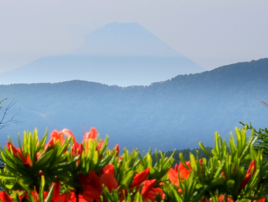 入笠山からのぼんやり富士山