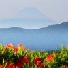 入笠山からのぼんやり富士山