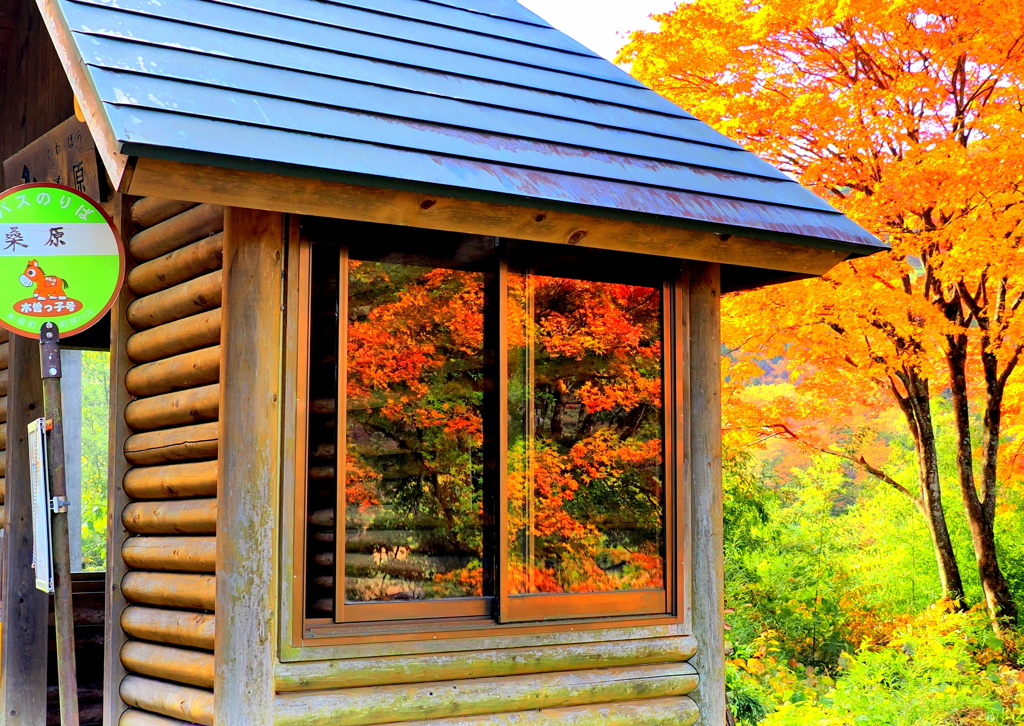 日本一？紅葉の綺麗なバス停