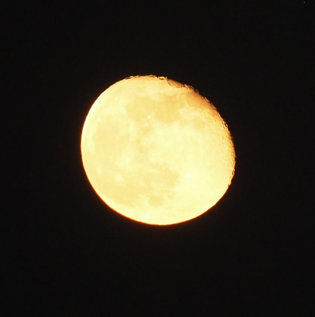 今夜のお月さん