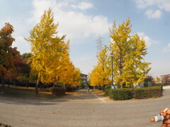 近所の公園にて