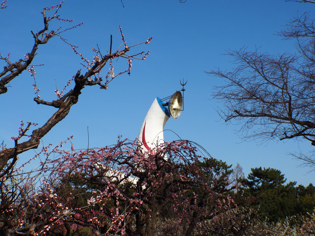 梅林の向こうに太陽の塔