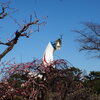 梅林の向こうに太陽の塔
