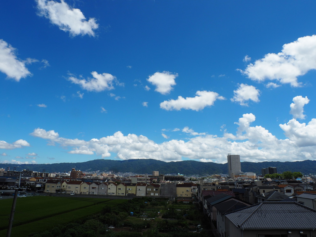 生駒山の夏の空