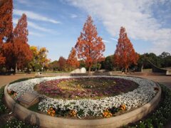 フィシュアイレンズで撮りたくて