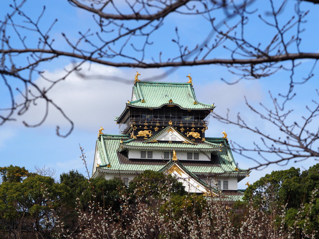 大阪城梅林
