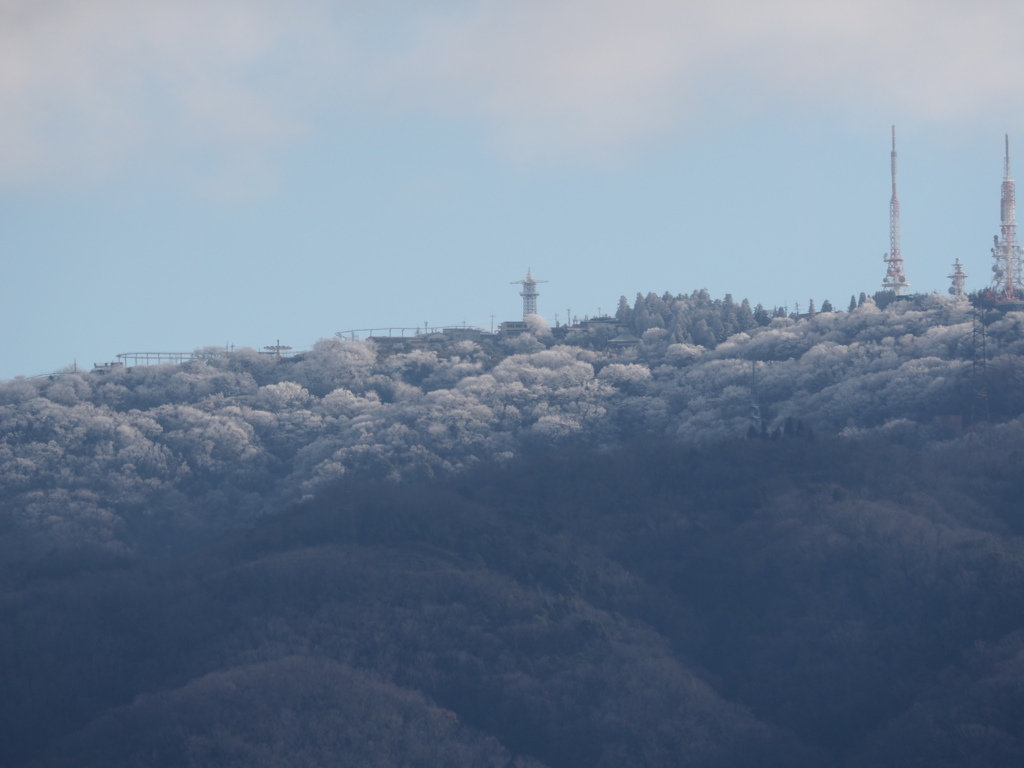 生駒山　初冠雪