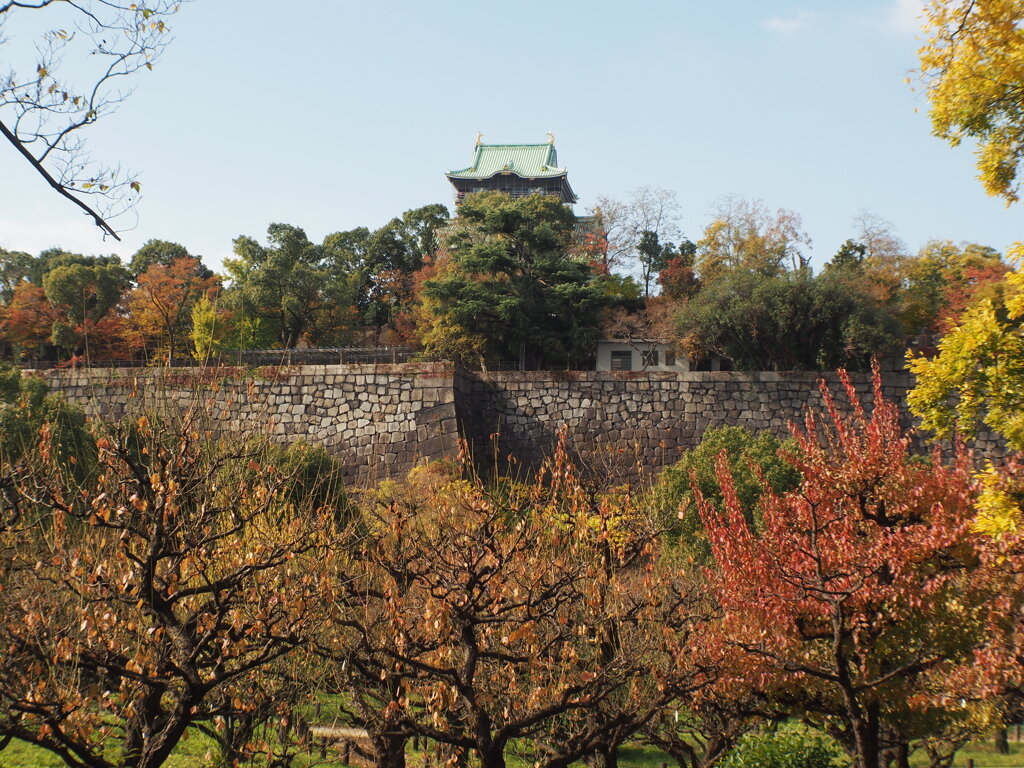 梅林から見る天守閣