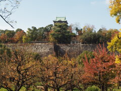 梅林から見る天守閣