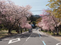 三井寺への道沿い