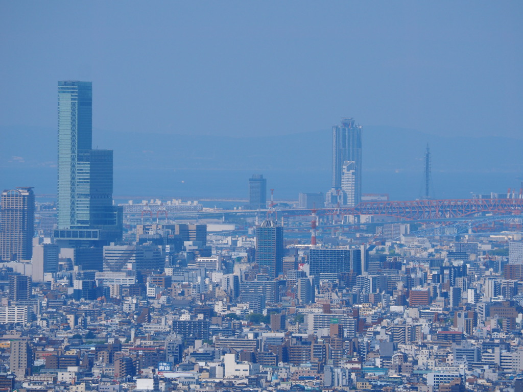 らくらく登山道