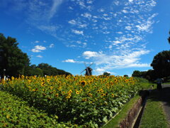 花博鶴見緑地公園 に行ってきました。