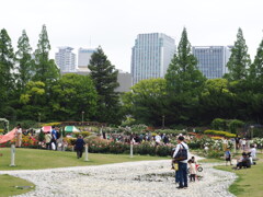 P5100018