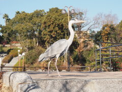 鶴見緑地のアオサギ