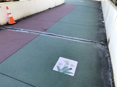 たんぽぽのタイル