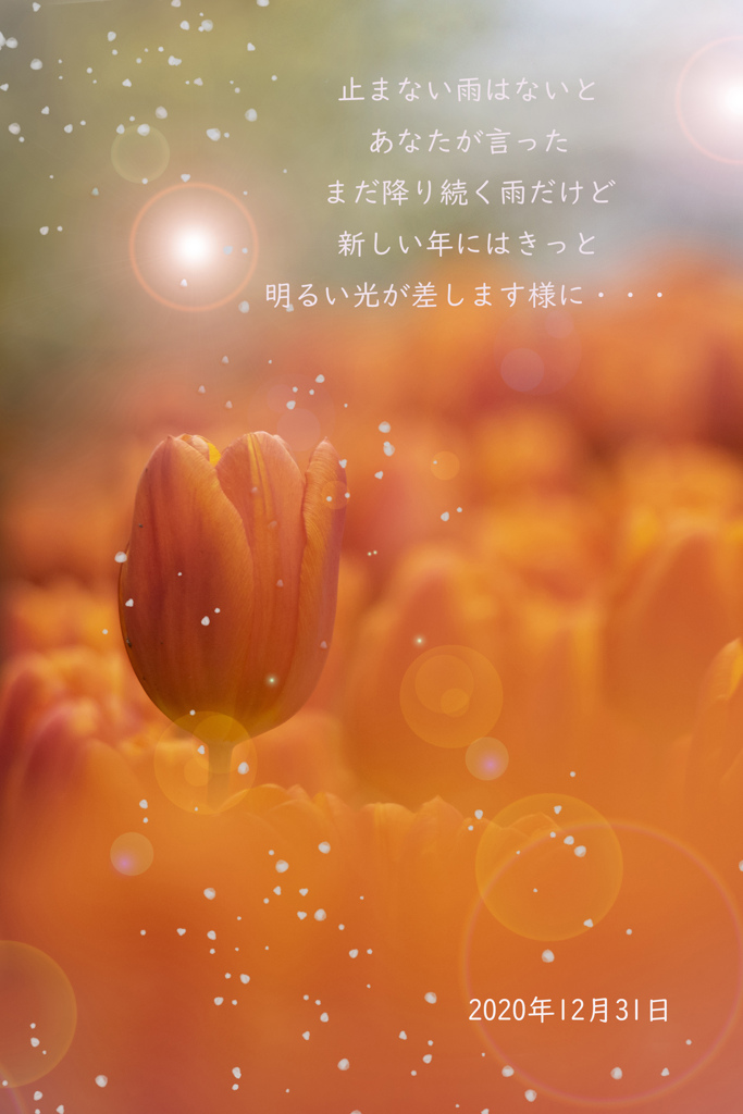 ～　あしたこそは　～