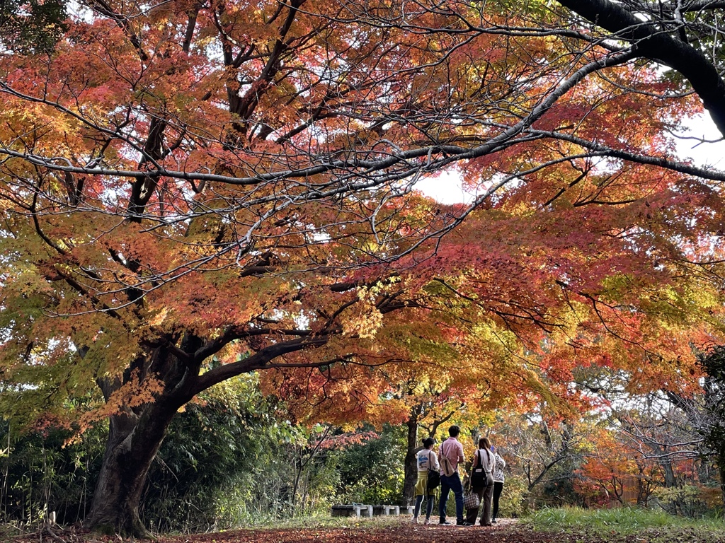 紅葉と記念撮影。。反対側から