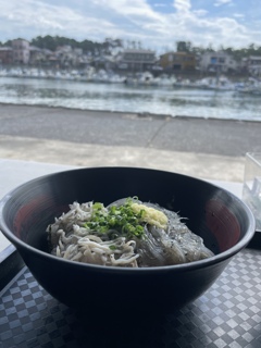 しらす丼