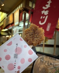 揚げただけ〜