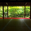 新緑の圓光寺