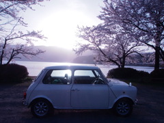 琵琶湖と桜とmini