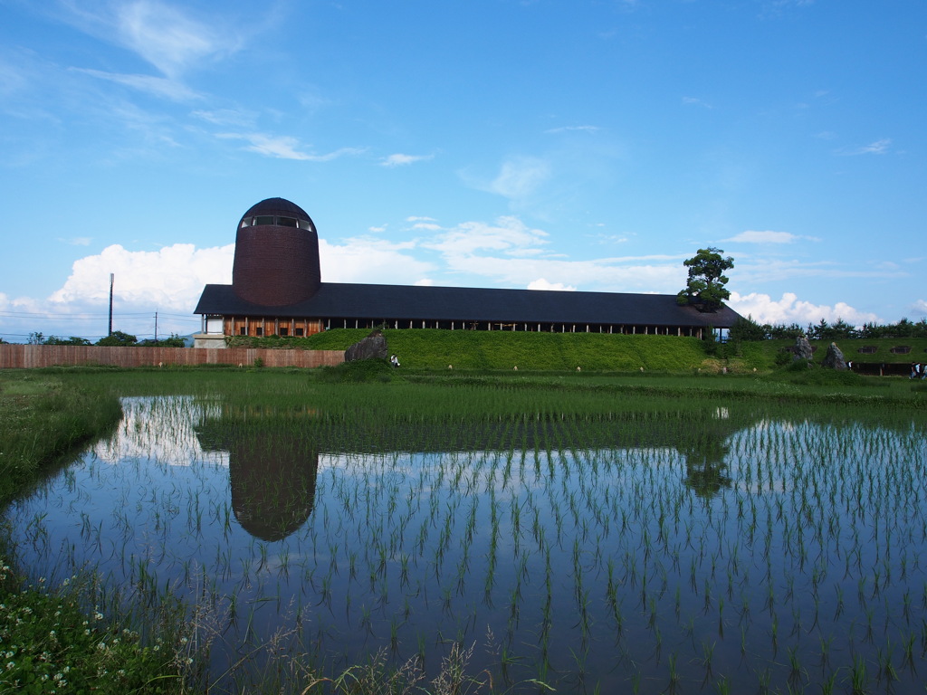 オリンパスブルー