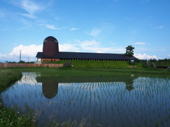 オリンパスブルー