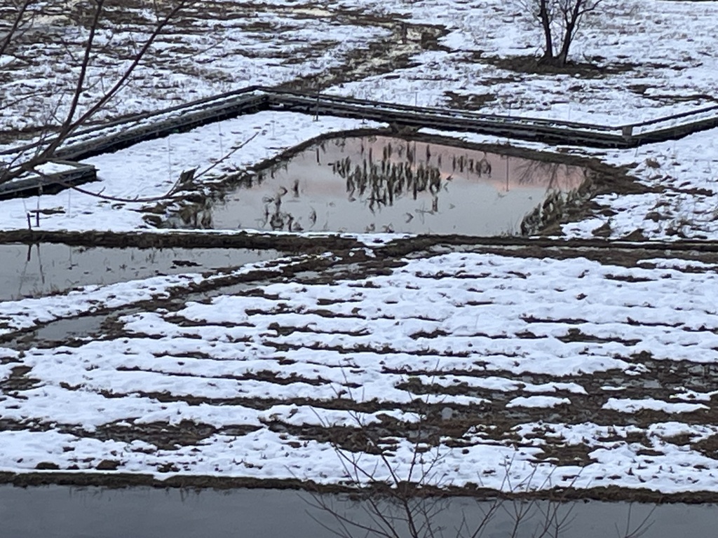 田園