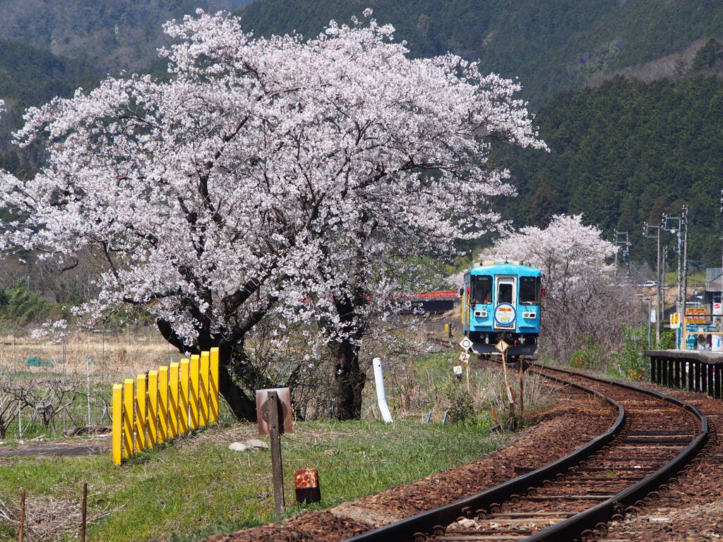 樽見鉄道　木知原駅