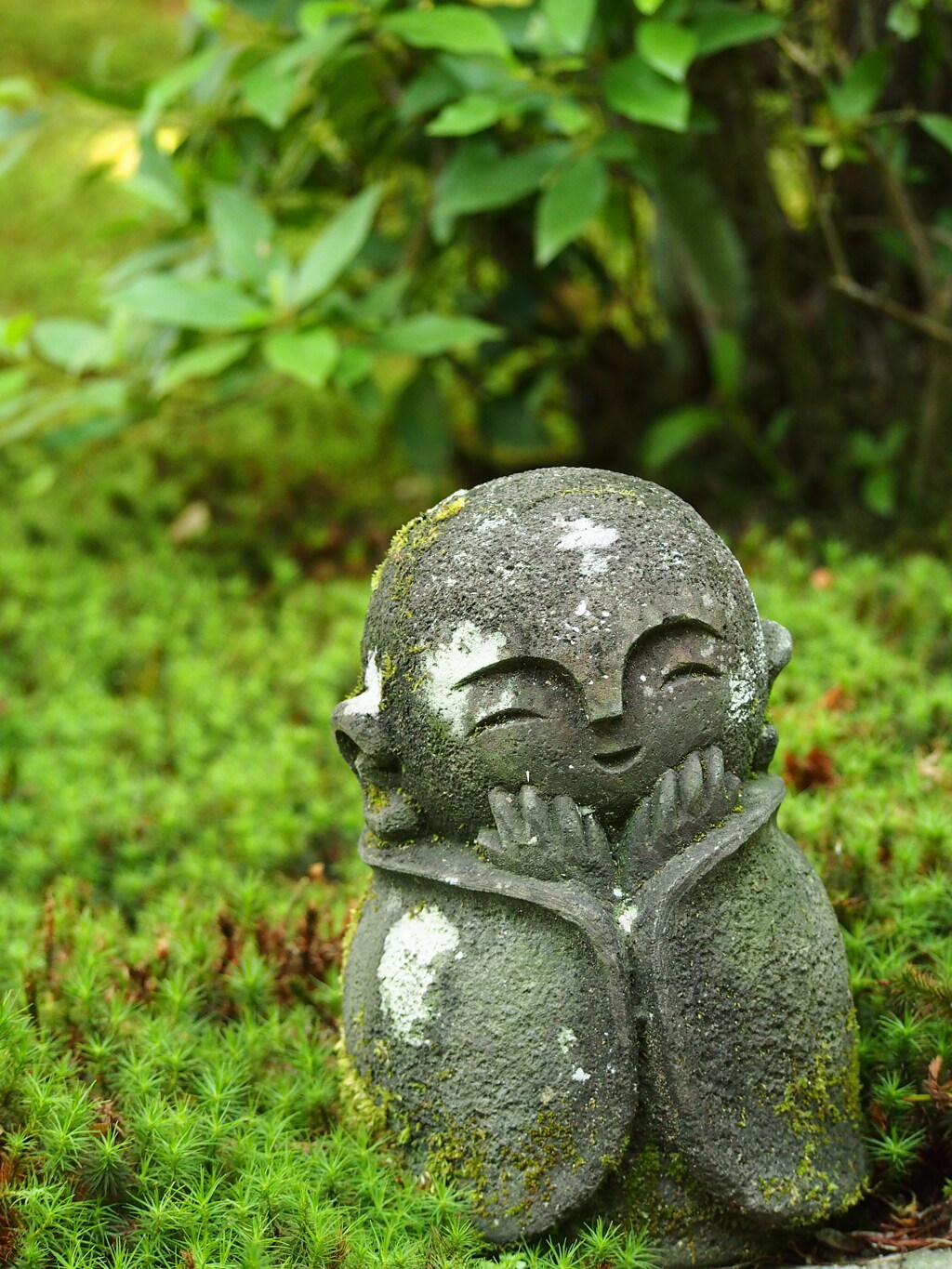 こんにちは‼︎
