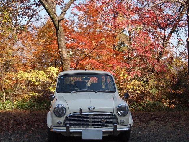 紅葉とminiちゃん