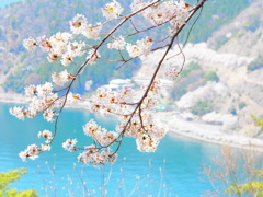 奥琵琶湖　３