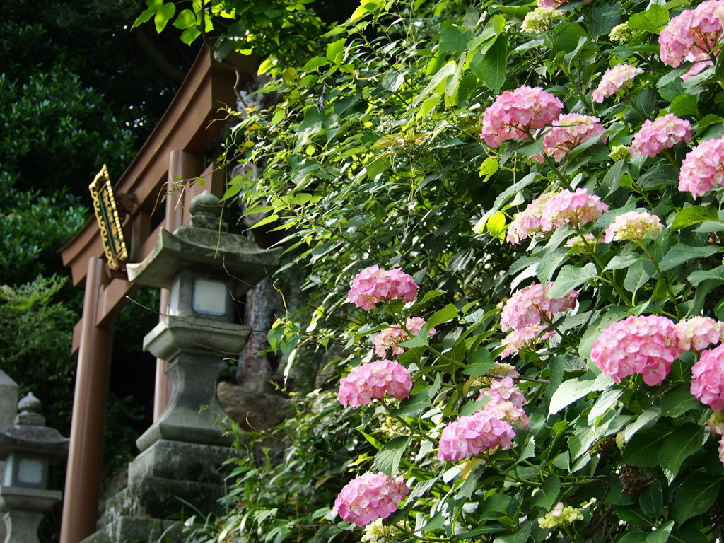 金崎宮
