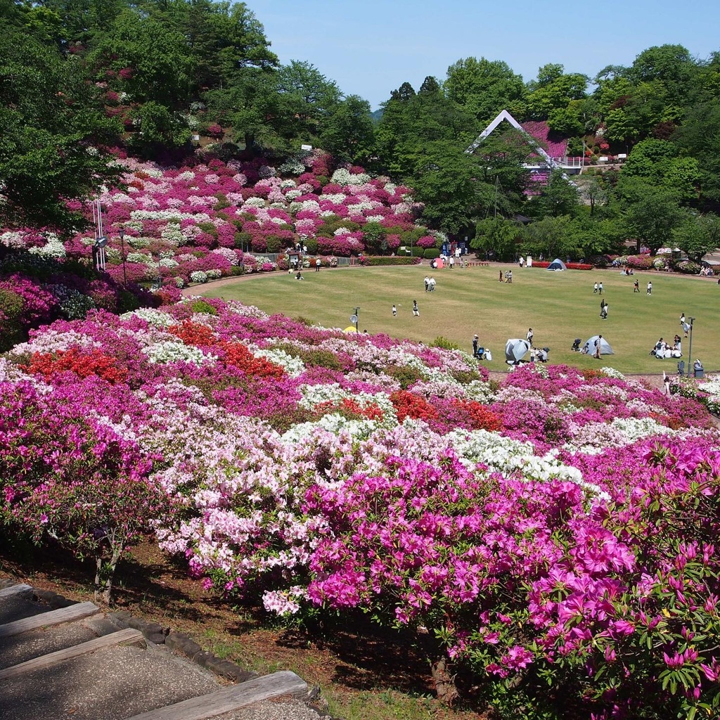 西山公園