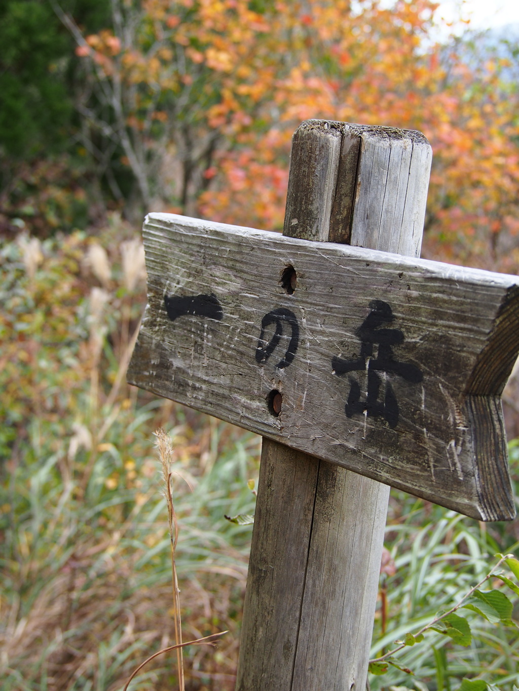 一の岳