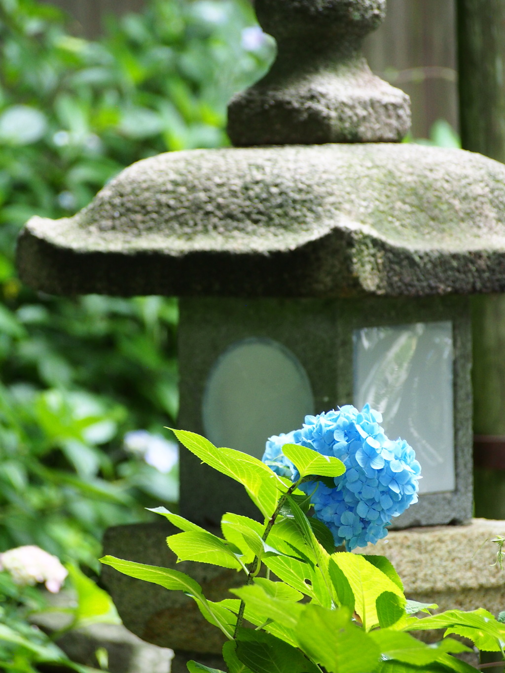 神社の境内で