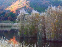 夕陽さんのプレゼント